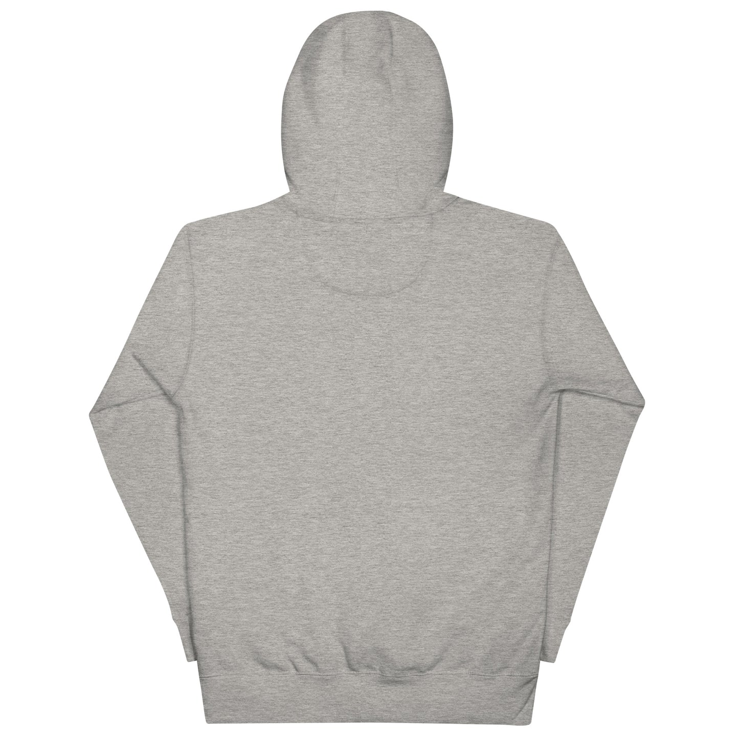 RICHTEAM Graphic Hoodie - Grey Sweatshirt (Paid In Full Edition)